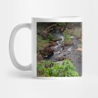 Cool Nature Mug